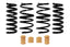 Eibach 21-25 Ford Mustang Mach-E GT AWD Spring Pro-Kit components