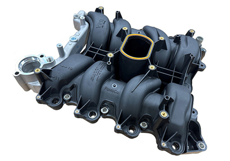Ford Racing 01-04 Mustang GT 4.6L SOHC 2V Perf Improvement Intake Manifold (Req Manifold Gasket Set) Secondary image