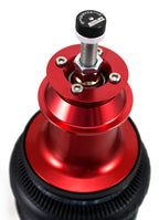 Air Lift Performance Rear Kit for 10-14 Chevrolet Camaro air suspension top view