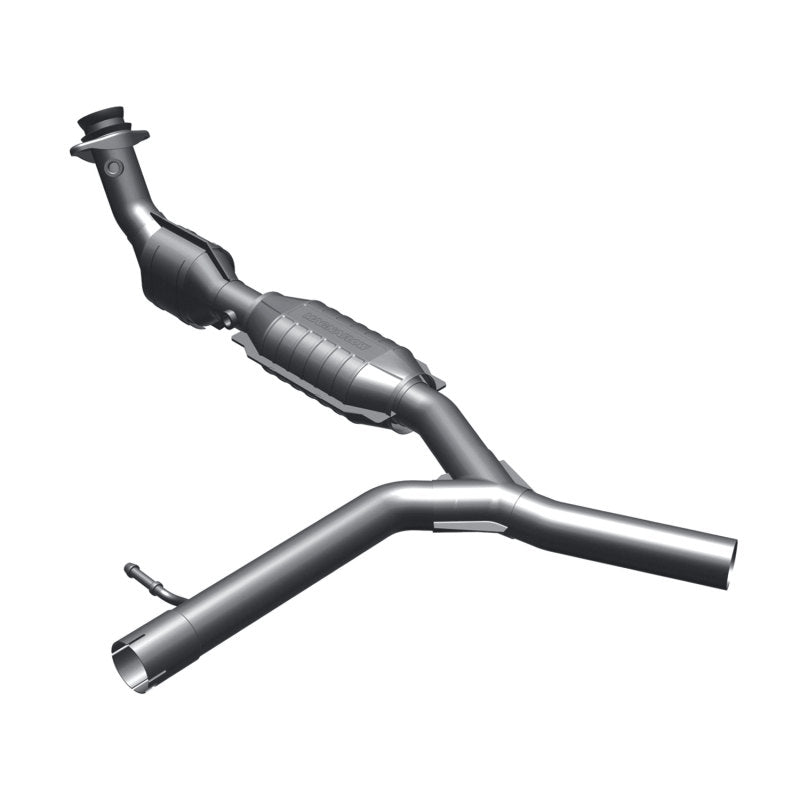 Photo - Primary Main image
