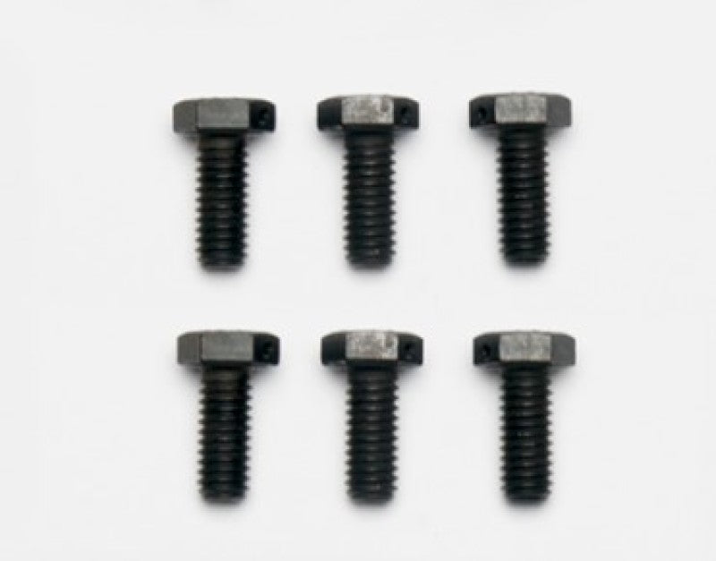 User 1 Main image
