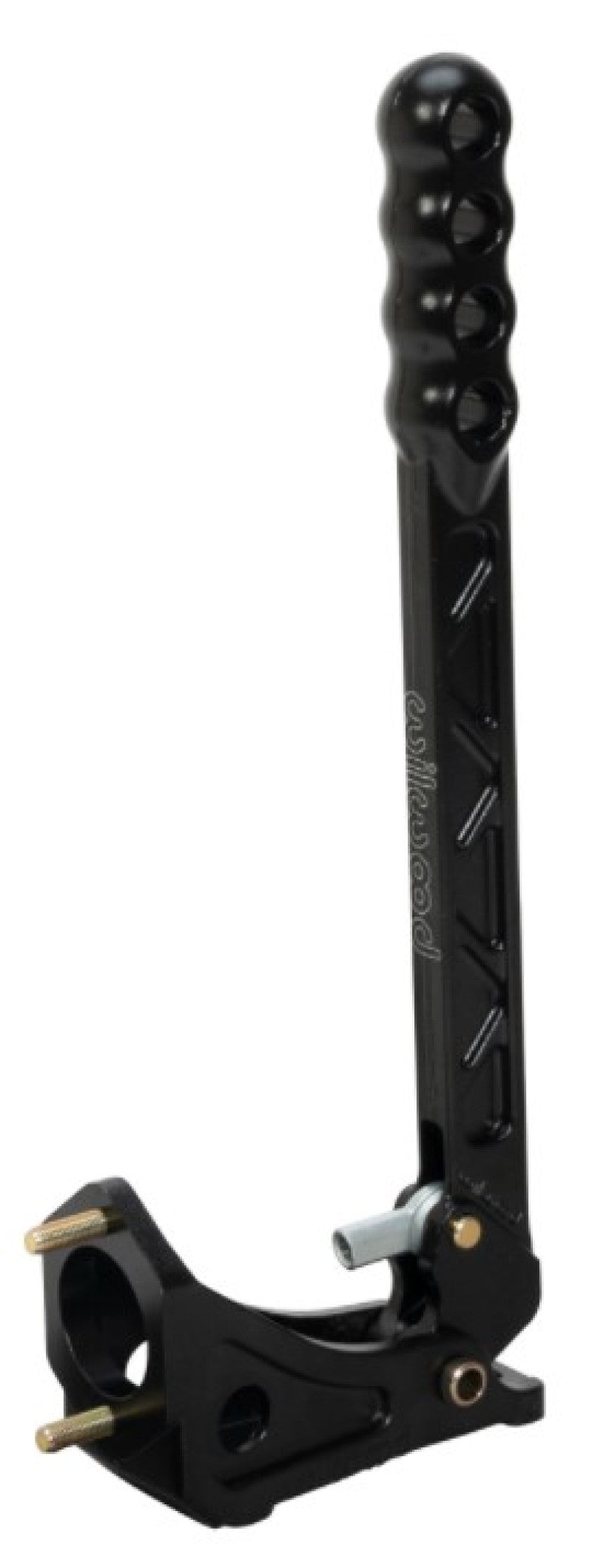 User 1 Main image