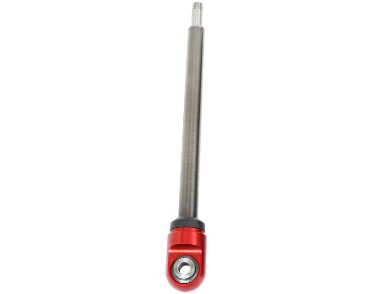Photo - Primary Main image