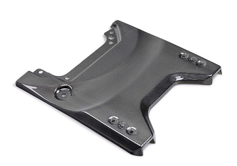 Ford Racing 22-24 Bronco Raptor Carbon Fiver Tailgate Applique - Gloss Secondary image