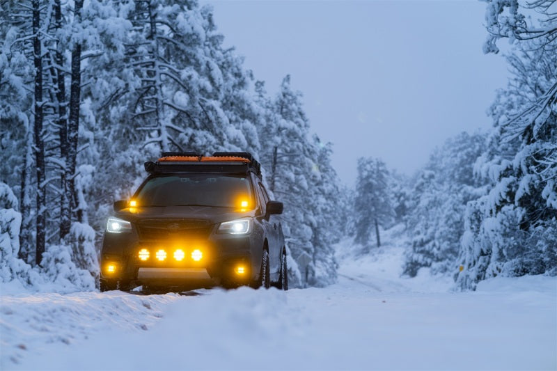 Rigid Industries D-SS Spot w/ Amber PRO Lens (Pair) in snowy offroad setting