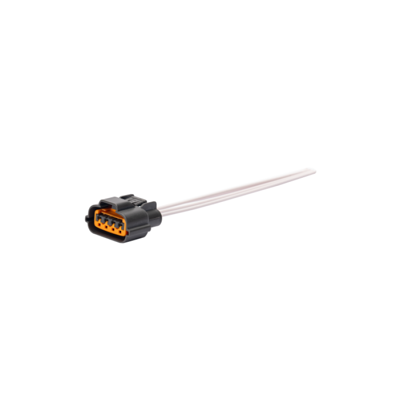 User 1 Main image
