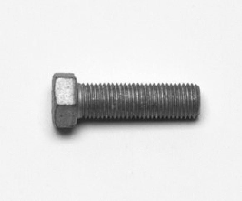 User 1 Main image