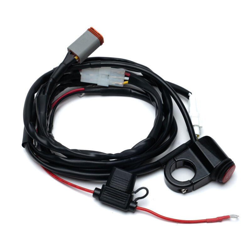 User 1 Main image