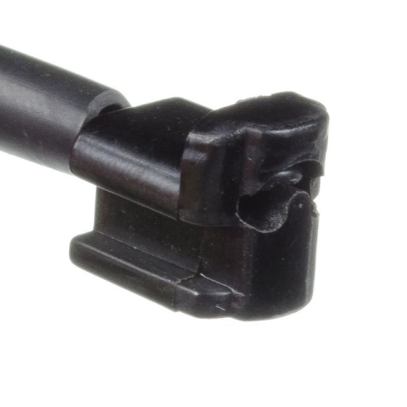 Photo - Primary Main image
