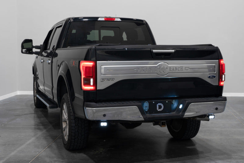 Diode Dynamics 15-20 Ford F-150 C1 Sport Stage Series Reverse Light Kit Secondary image