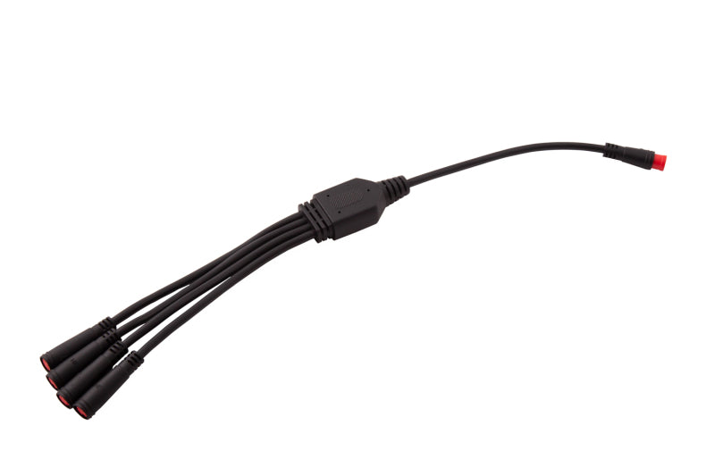 Diode Dynamics RGBW M8 5-Pin Splitter Wire - 1 Secondary image