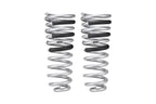 Eibach 14-21 Ram 2500 Diesel 4WD Pro-Truck Rear Springs for off road parts