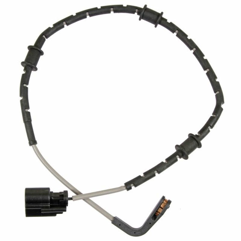 Photo - Primary Main image