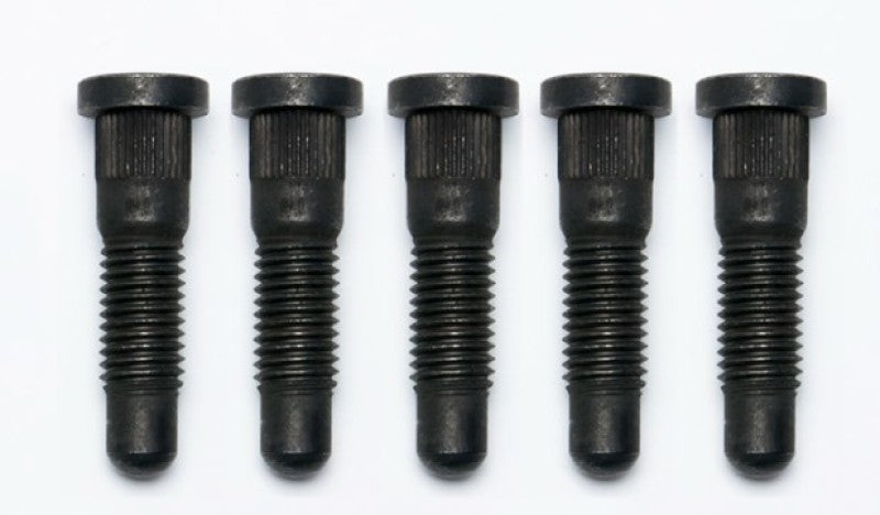 User 1 Main image