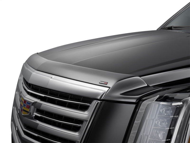 WeatherTech 22-25 Ford F150 Hood Skin Protector - Black on a truck