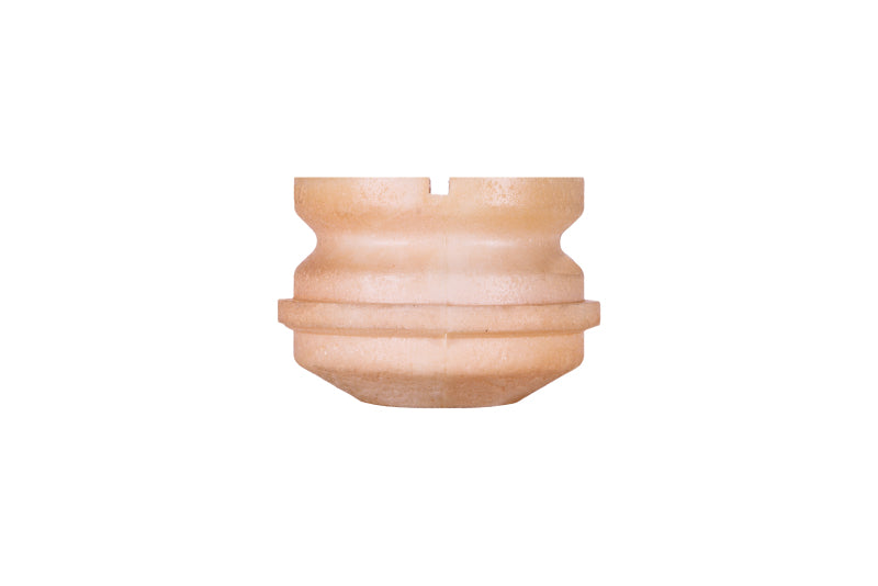 Photo - Primary Main image