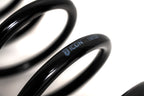 ICON 21-24 Raptor Triple Rate Coil Spring Kit close-up detail