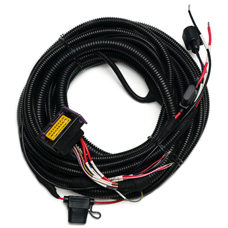 User 1 Main image