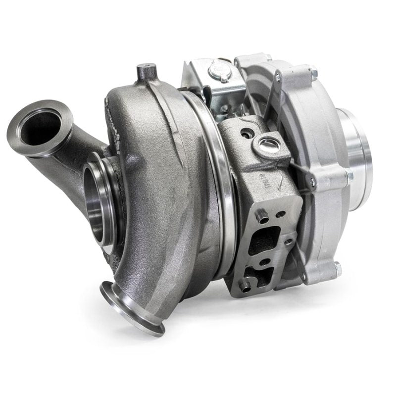 User 1 Main image