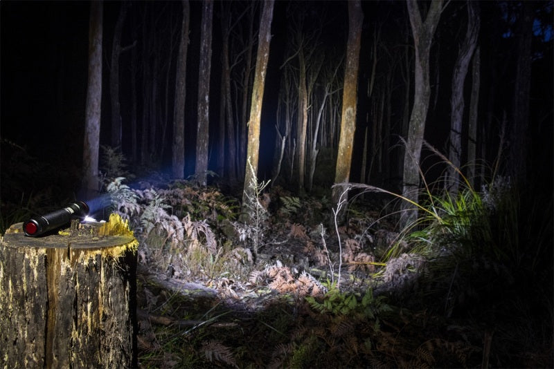 ARB Pureview 800 Flashlight 800 Lumen Flashlight Secondary image