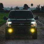 Rigid Industries D-Series SAE Fog Yellow/White Pair on truck