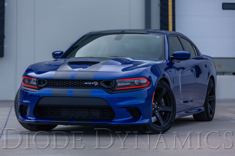 Diode Dynamics RGBW DRL LED Boards for 2019-2021 Dodge Charger Secondary image