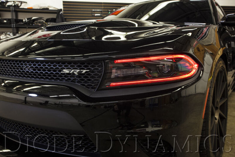 Diode Dynamics 2015-2018 Dodge Charger RGBW DRL LED Boards Secondary image