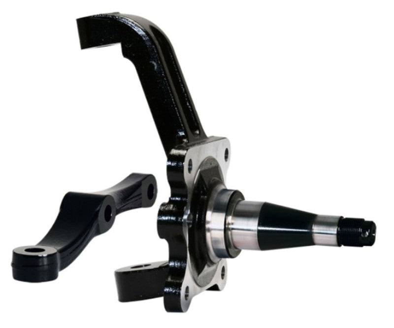 User 1 Main image