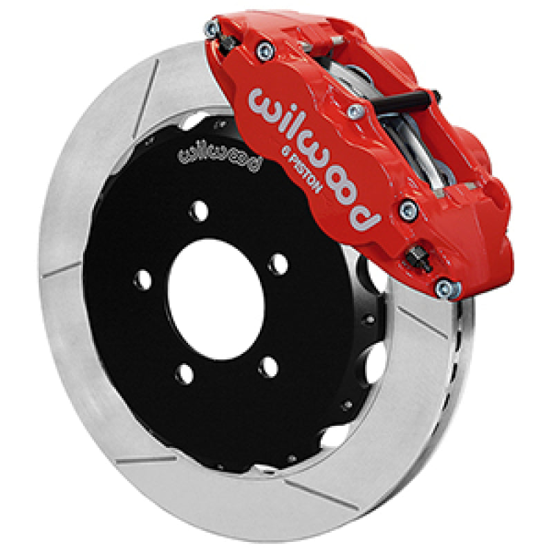 User 1 Main image
