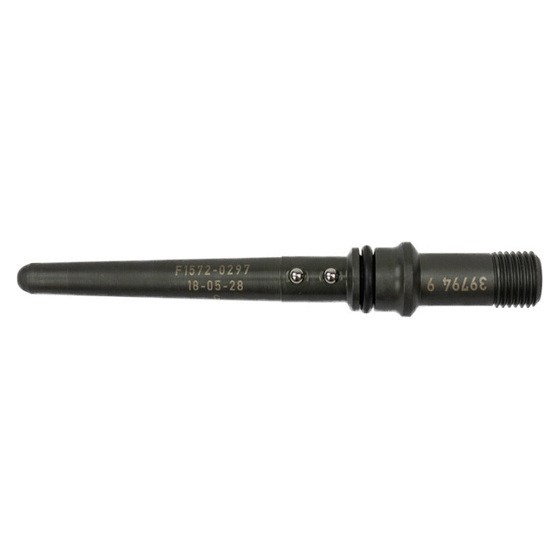 User 1 Main image