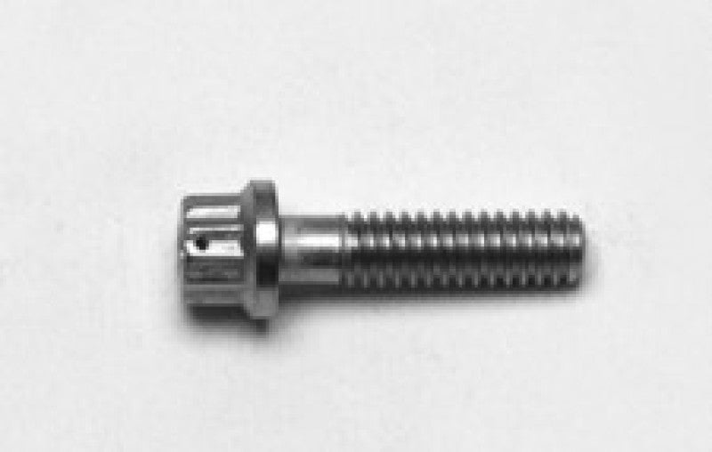 User 1 Main image