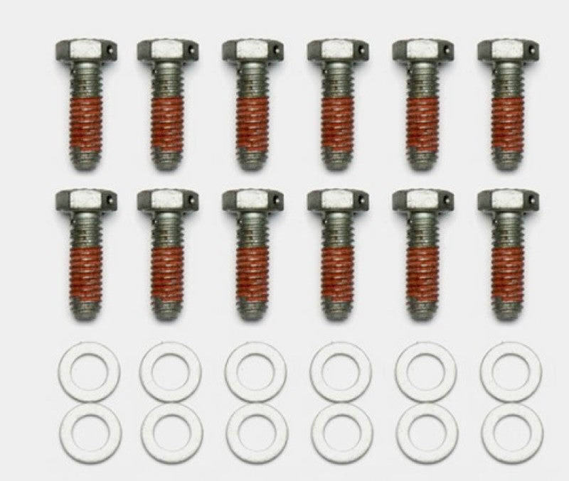 User 1 Main image