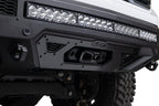 Photo - Close Up