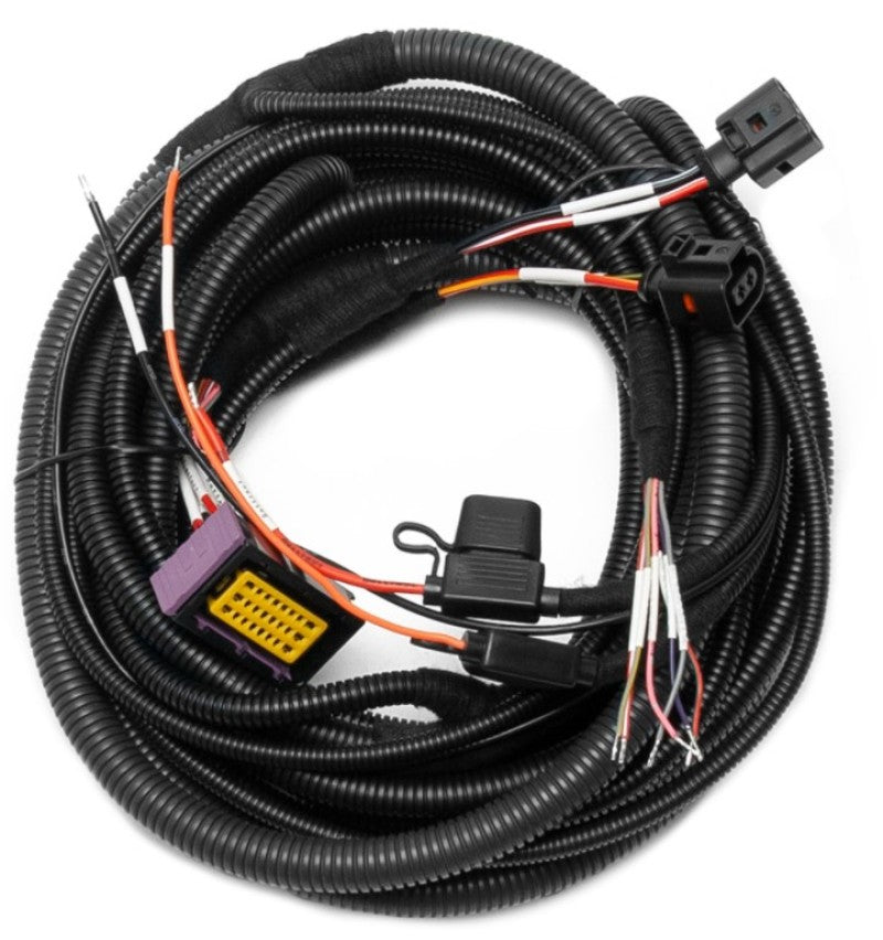 User 1 Main image