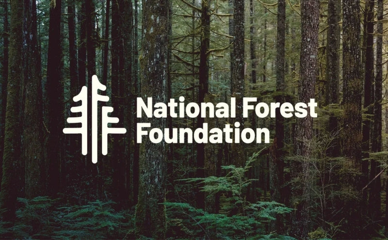 National Forest Foundation logo with forest background