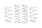 Eibach Pro-Lift Kit for 2022+ Subaru WRX suspension springs