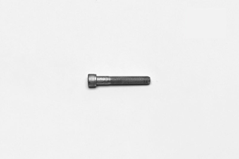 User 1 Main image