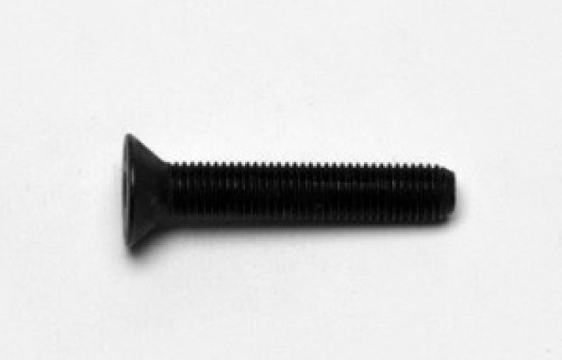 User 1 Main image
