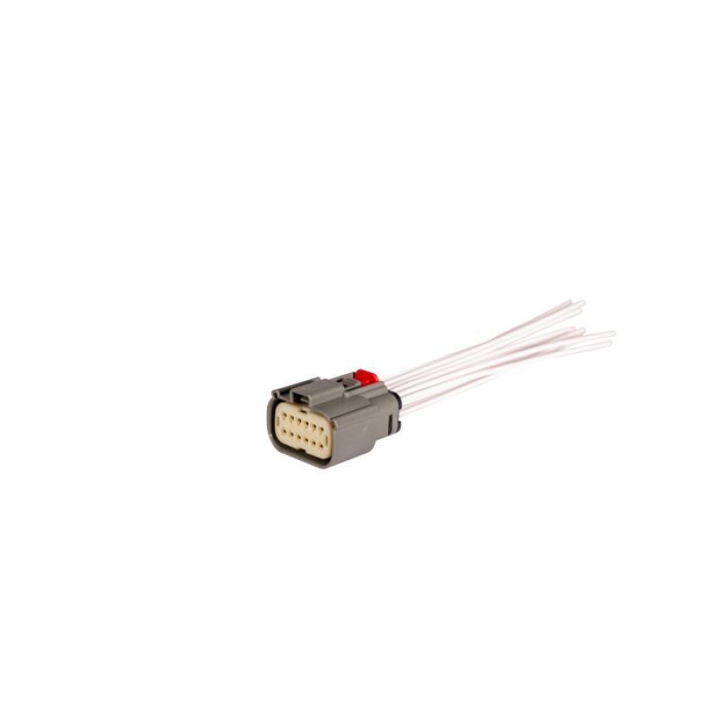 User 1 Main image
