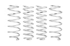 Eibach Pro-Lift Kit for 2023+ Hyundai Santa Cruz coils springs