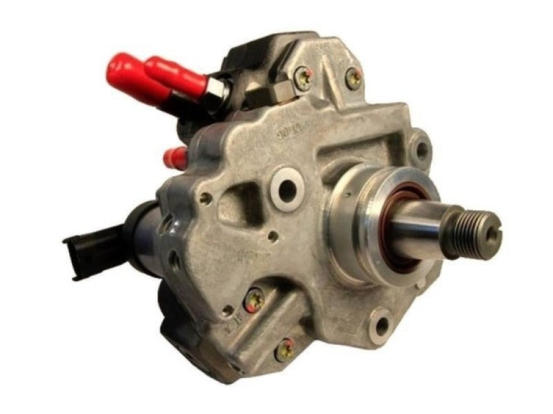 User 1 Main image