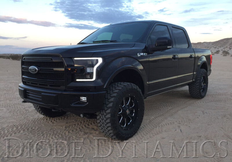 Diode Dynamics 15-17 Ford F-150/17-19 Ford Raptor Switchback LED Boards Secondary image