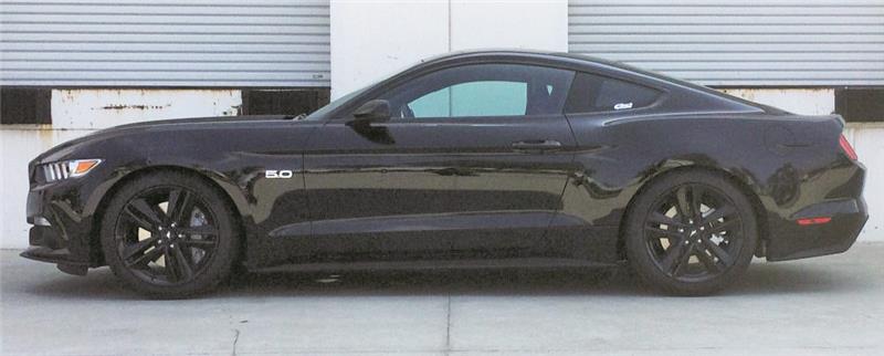 Eibach Pro-Kit for 2015 Ford Mustang GT 5.0L V8 side view
