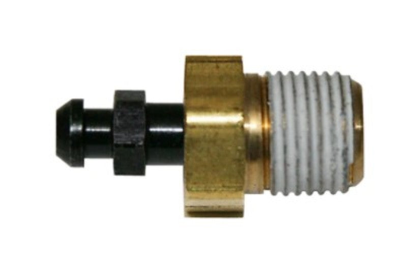 User 1 Main image