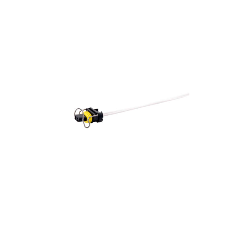 User 1 Main image