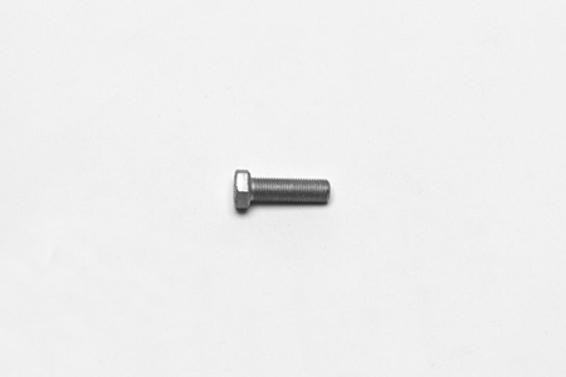 User 1 Main image