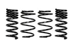 Eibach 24+ Ford Mustang GT Coupe 5.0L RWD S650 Performance Pack w/ Magneride spring coils for suspension upgrades