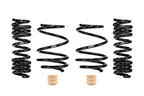 Eibach 20-24 BMW M3 Pro-Street Spring Kit components for performance