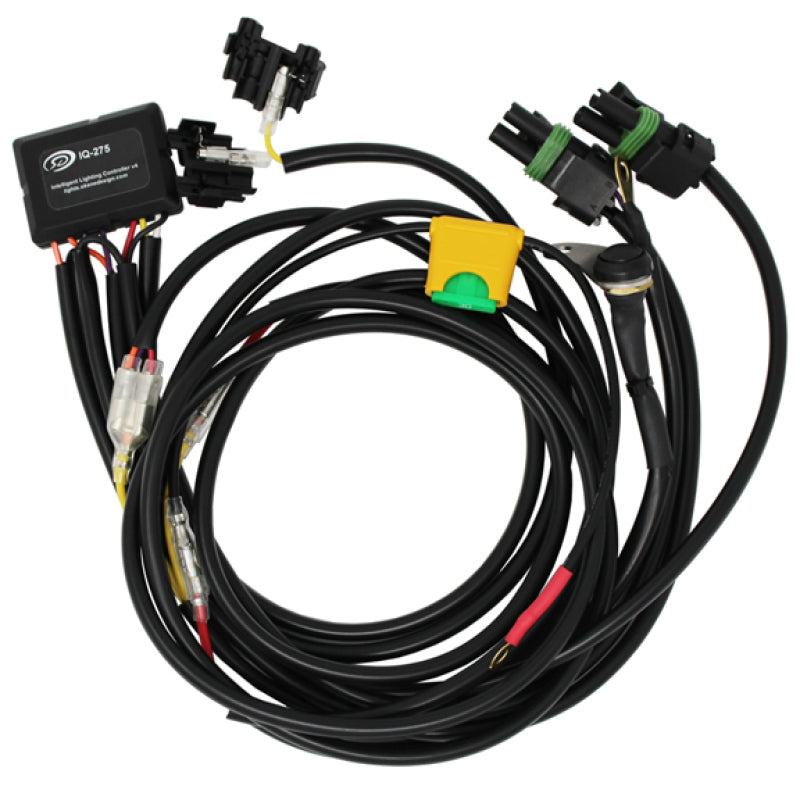 User 1 Main image