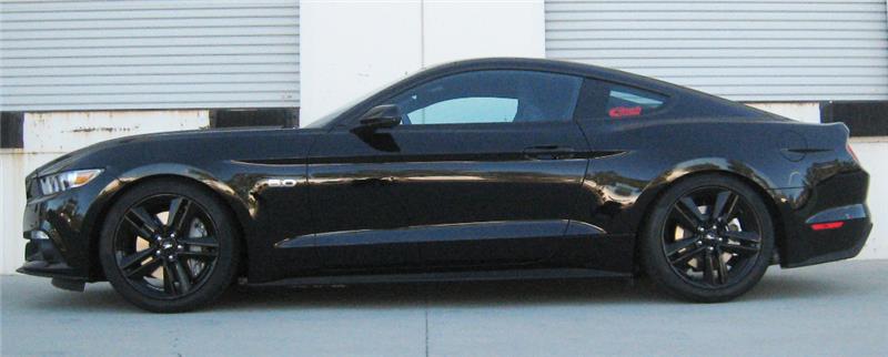 Eibach Sportline Kit for 2015 Mustang GT 5.0L V8 side view